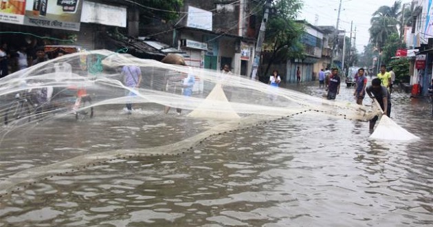 রাজশাহীতে রাস্তায় জাল ফেলে ধরা হচ্ছে মাছ