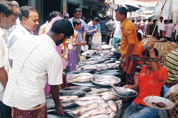 সাবধান! বাজারে ছড়িয়ে পড়ছে প্লাস্টিকের মাছ