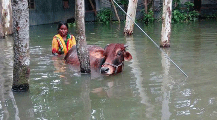 দেখুন যেসব দেশের বন্যায় ডুবছে বাংলাদেশ