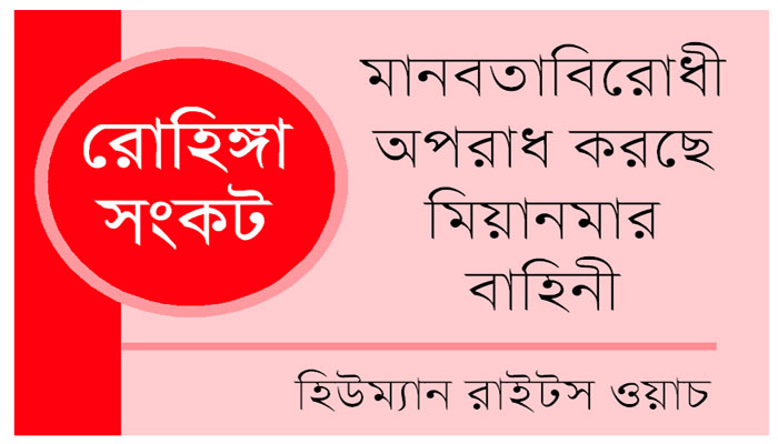 রোহিঙ্গাদের উপর থেকে বিশ্বের দৃষ্টি সরাতে একি করছে মিয়ানমার