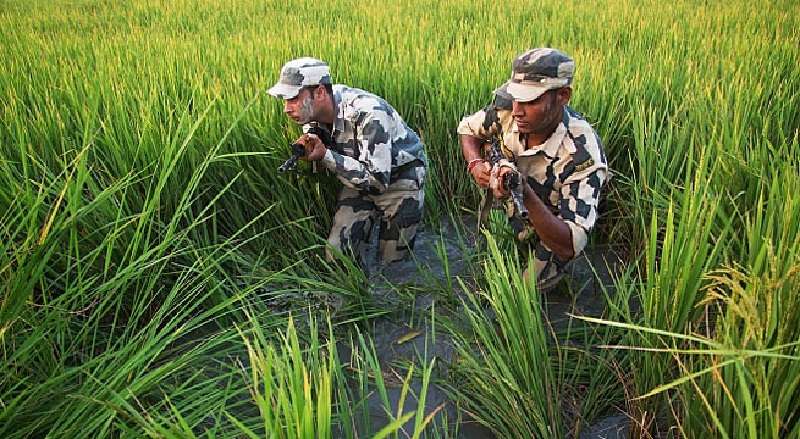 হঠাৎ বাংলাদেশ সীমান্তে ভারতীয়দের নিরাপত্তা জোরদার