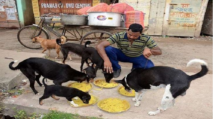 স্বামী কুকুরকে ভালোবেসে ত্যাগ করলো স্ত্রীকে