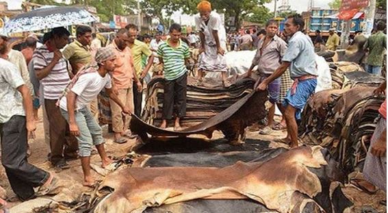 কোরবানির পশুর চামড়ার দাম নির্ধারণ করলো সরকার