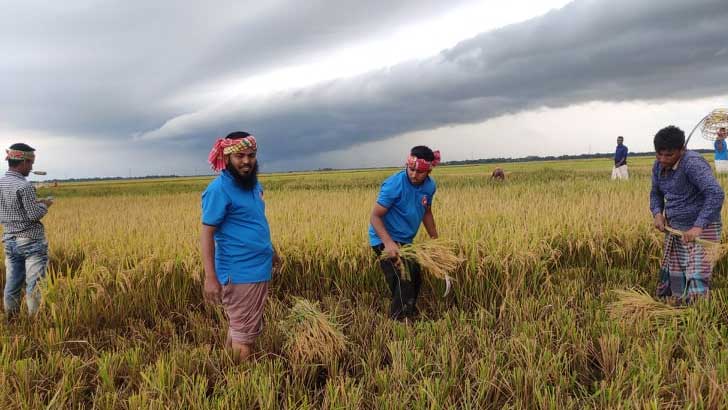 বজ্রপাতে ধান কাটা শ্রমিকের মৃত্যু হলে যত লাখ টাকা পাবে পরিবার