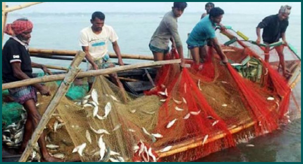 যে কারনে ২০ মে থেকে ৬৫ দিন সমুদ্রে মাছ আহরণ নিষিদ্ধ করল সরকার