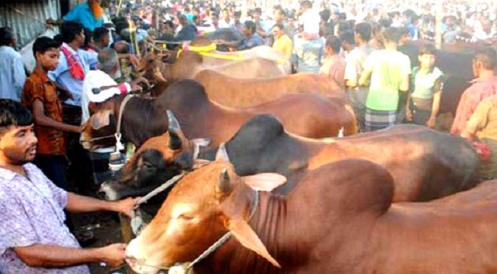 ৩১ জুলাই ঈদ, রাজধানীর শুধুমাত্র এই জায়গায় বসবে এবার পশুর হাট