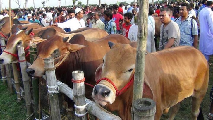 রাজধানীসহ ৪টি জেলায় পশুর হাট না বসানোর প্রস্তাব