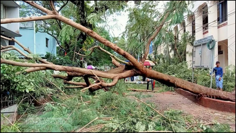 তীব্র শীতের মাঝে ব্যাপক ঝড়ে হাজারো মানুষ ঘড়বাড়ি হীন 