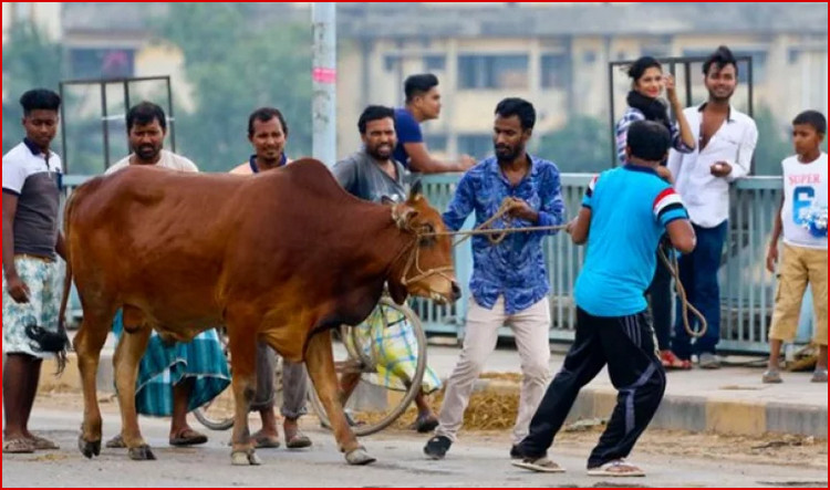 ঈদুল আজহার তারিখ ঘোষণা