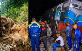 ট্রেনের ধাক্কায় অকালে ঝড়লো ৬টি প্রাণ